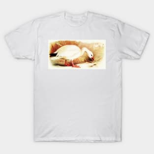 The Snow Goose T-Shirt